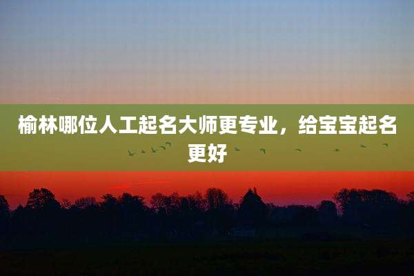 榆林哪位人工起名大师更专业,给宝宝起名更好