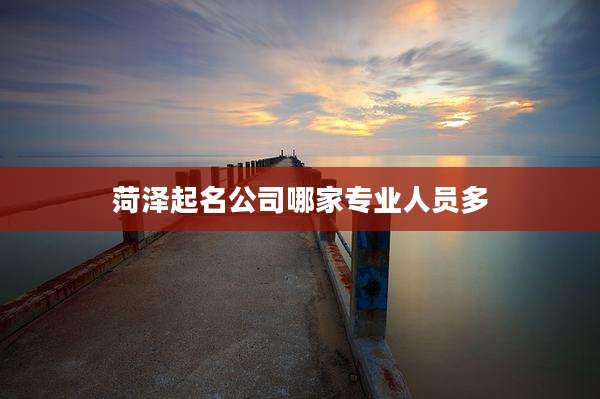 菏泽起名公司哪家专业人员多