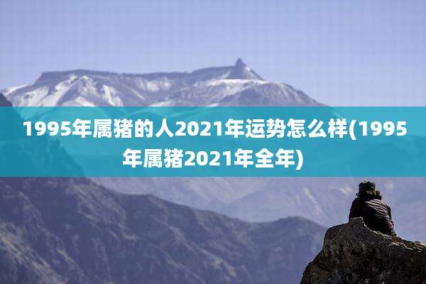 1995年属猪的人2021年运势怎么样(1995年属猪2021年全年)