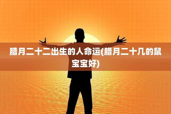 腊月二十二出生的人命运(腊月二十几的鼠宝宝好)
