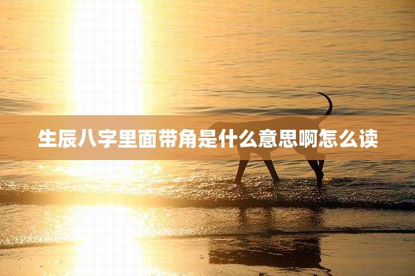 生辰八字里面带角是什么意思啊怎么读