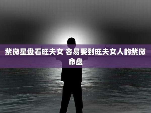 紫微星盘看旺夫女 容易娶到旺夫女人的紫微命盘