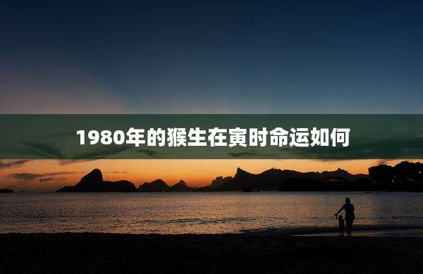 1980年的猴生在寅时命运如何