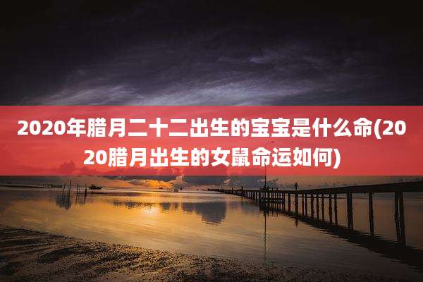 2020年腊月二十二出生的宝宝是什么命(2020腊月出生的女鼠命运如何)