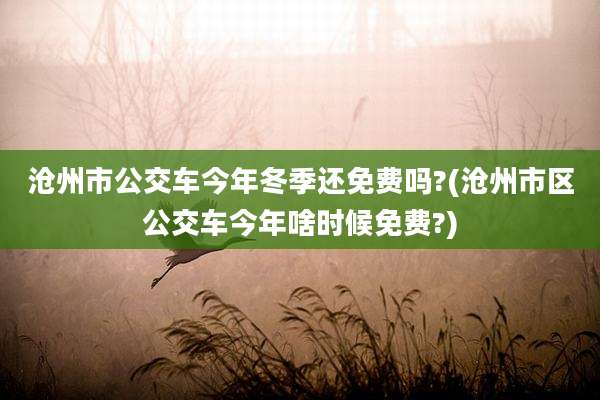 沧州市公交车今年冬季还免费吗?(沧州市区公交车今年啥时候免费?)