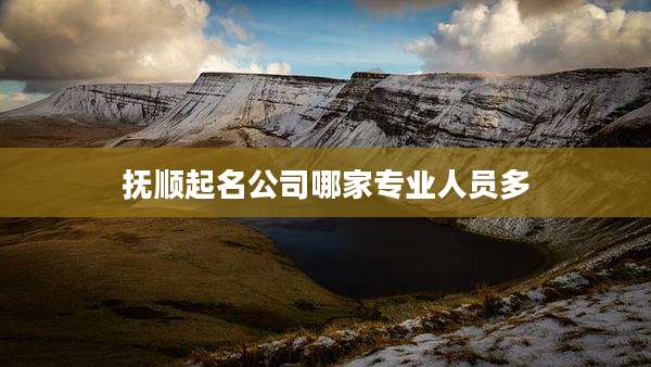 抚顺起名公司哪家专业人员多