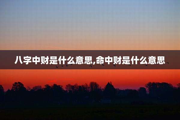 八字中财是什么意思,命中财是什么意思