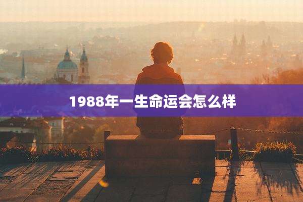 1988年一生命运会怎么样