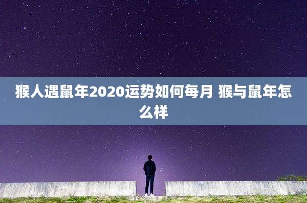 猴人遇鼠年2020运势如何每月 猴与鼠年怎么样