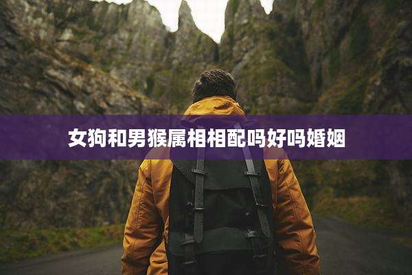 女狗和男猴属相相配吗好吗婚姻