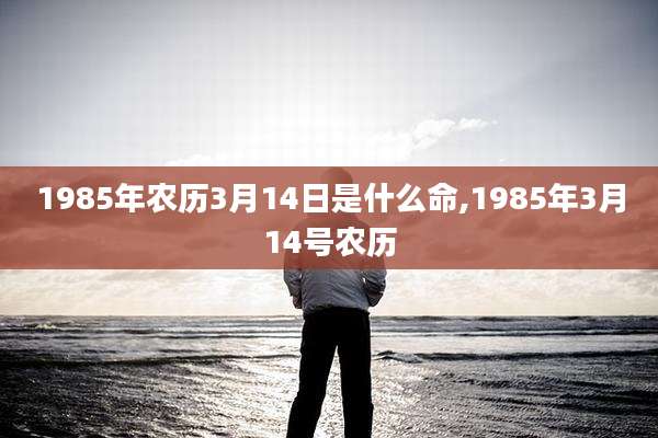1985年农历3月14日是什么命,1985年3月14号农历