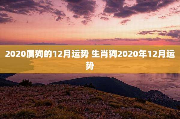 2020属狗的12月运势 生肖狗2020年12月运势