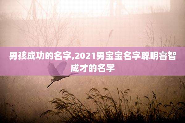 男孩成功的名字,2021男宝宝名字聪明睿智成才的名字