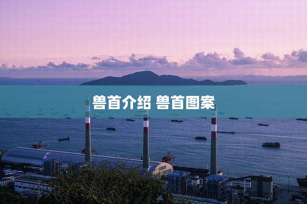 兽首介绍 兽首图案