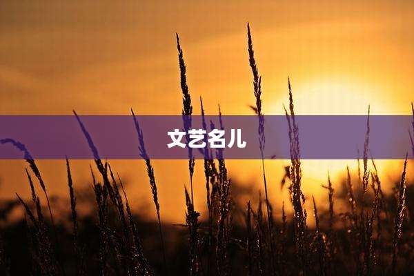 文艺名儿