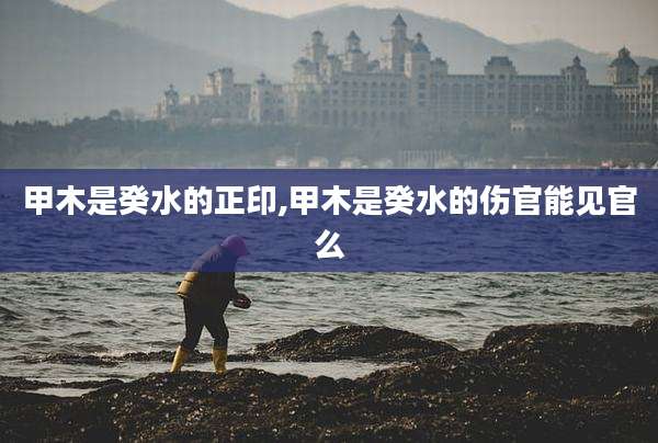 甲木是癸水的正印,甲木是癸水的伤官能见官么
