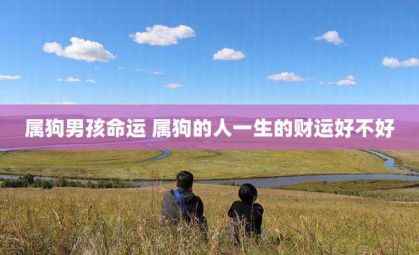 属狗男孩命运 属狗的人一生的财运好不好