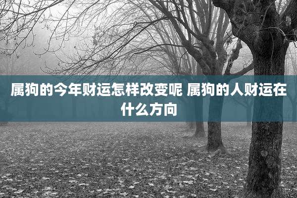 属狗的今年财运怎样改变呢 属狗的人财运在什么方向