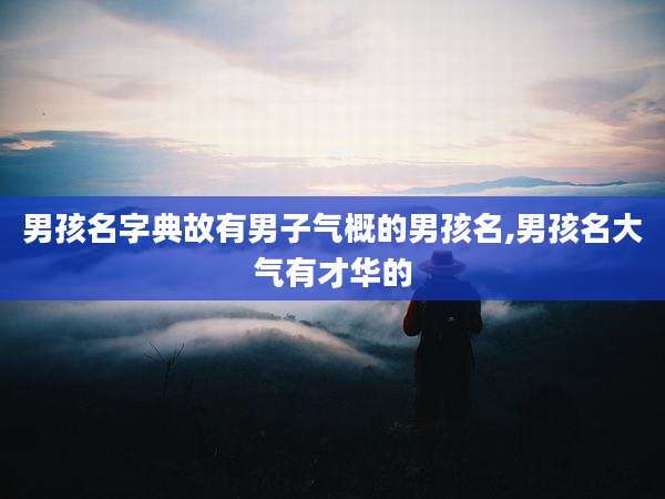 男孩名字典故有男子气概的男孩名,男孩名大气有才华的