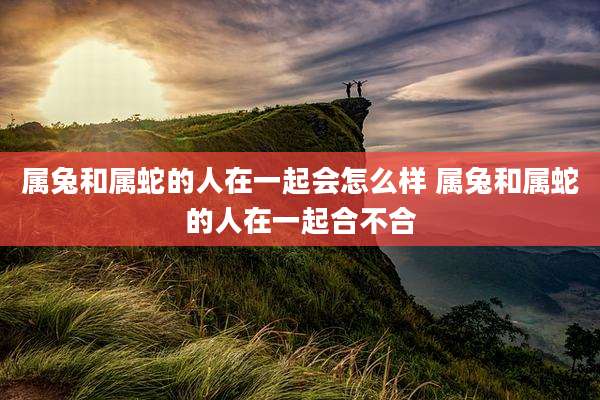 属兔和属蛇的人在一起会怎么样 属兔和属蛇的人在一起合不合