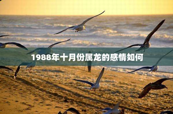 1988年十月份属龙的感情如何