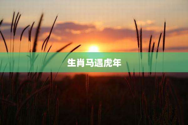 生肖马遇虎年