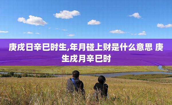 庚戌日辛巳时生,年月碰上财是什么意思 庚生戌月辛巳时