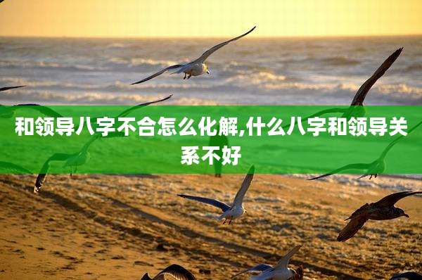 和领导八字不合怎么化解,什么八字和领导关系不好