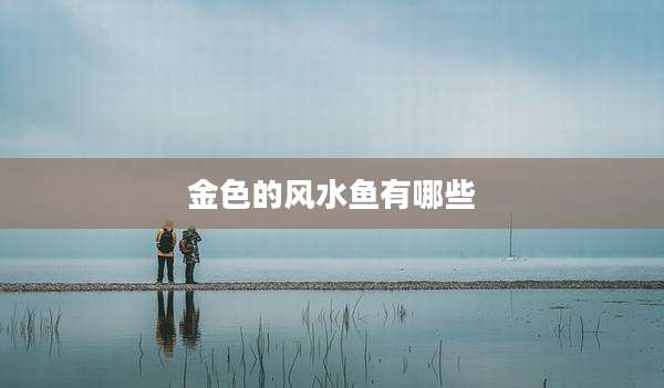 金色的风水鱼有哪些