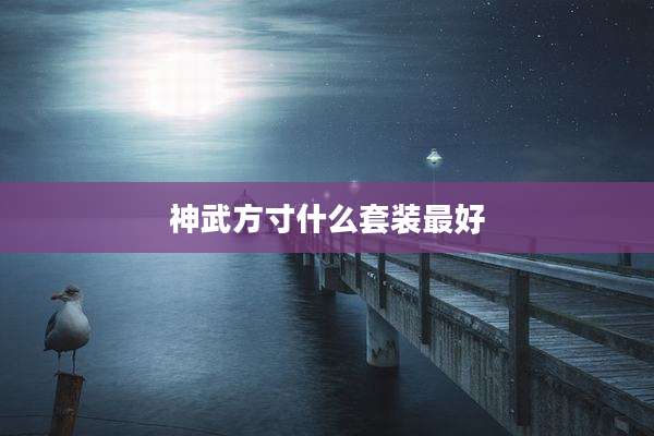 神武方寸什么套装最好