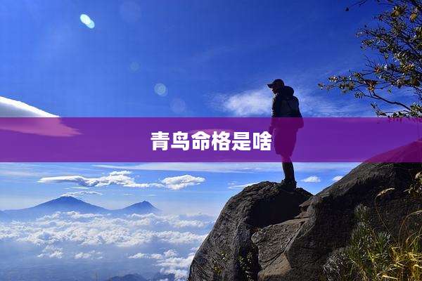 青鸟命格是啥