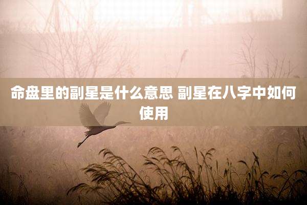 命盘里的副星是什么意思 副星在八字中如何使用