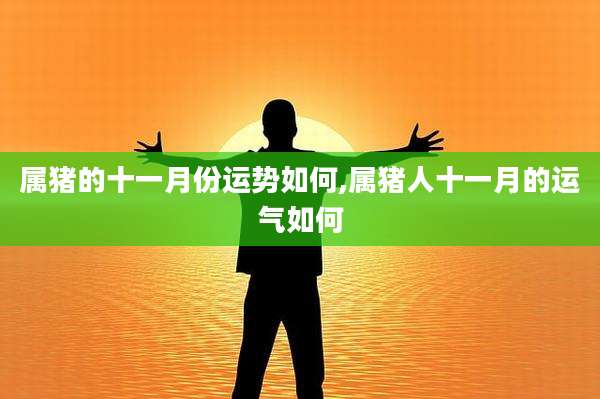 属猪的十一月份运势如何,属猪人十一月的运气如何