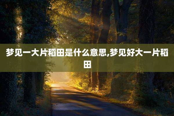 梦见一大片稻田是什么意思,梦见好大一片稻田