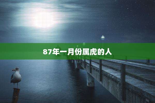 87年一月份属虎的人