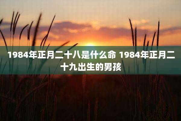 1984年正月二十八是什么命 1984年正月二十九出生的男孩