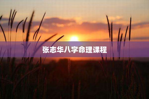 张志华八字命理课程