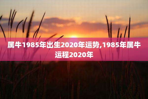 属牛1985年出生2020年运势,1985年属牛运程2020年