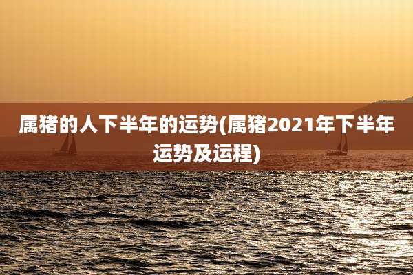 属猪的人下半年的运势(属猪2021年下半年运势及运程)