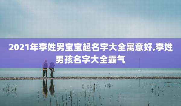 2021年李姓男宝宝起名字大全寓意好,李姓男孩名字大全霸气