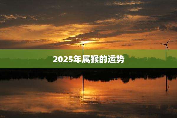 2025年属猴的运势