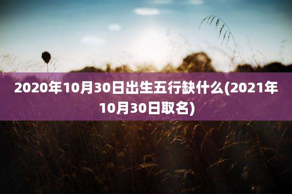 2020年10月30日出生五行缺什么(2021年10月30日取名)