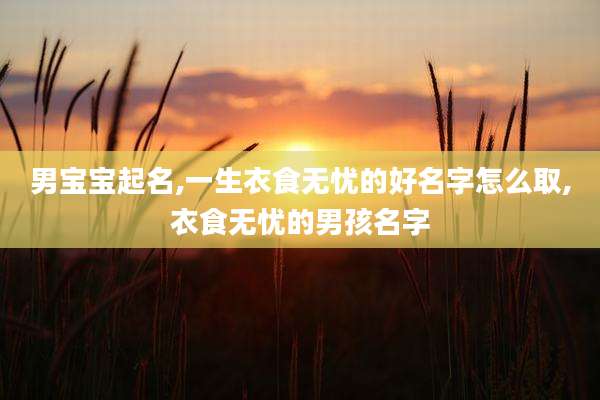 男宝宝起名,一生衣食无忧的好名字怎么取,衣食无忧的男孩名字