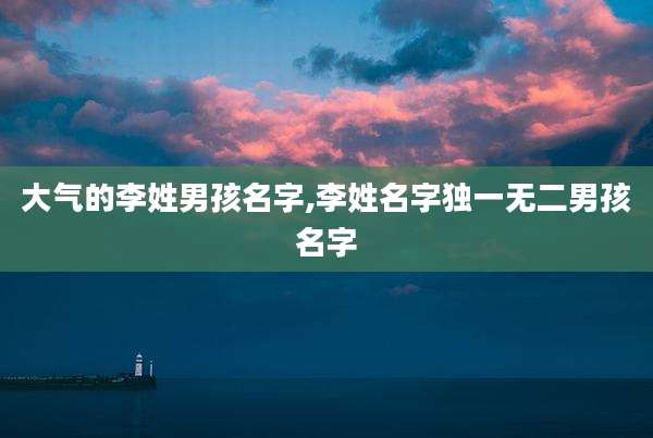 大气的李姓男孩名字,李姓名字独一无二男孩名字