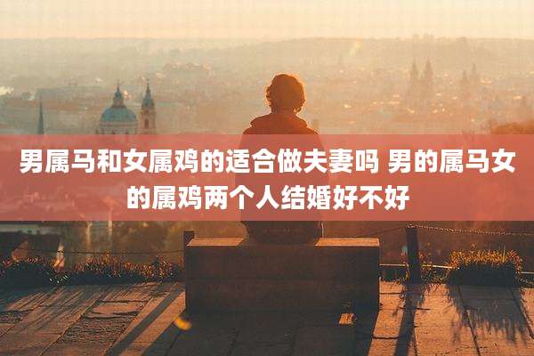 男属马和女属鸡的适合做夫妻吗 男的属马女的属鸡两个人结婚好不好