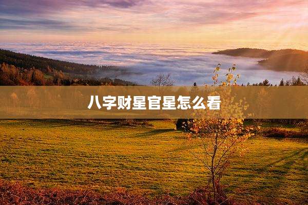 八字财星官星怎么看