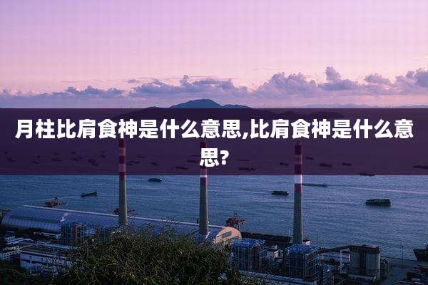 月柱比肩食神是什么意思,比肩食神是什么意思?