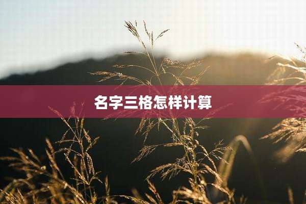 名字三格怎样计算