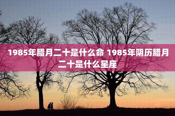 1985年腊月二十是什么命 1985年阴历腊月二十是什么星座