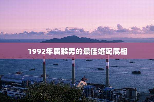 1992年属猴男的最佳婚配属相